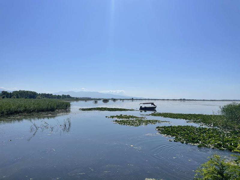 kerkini
